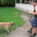 HighlandGames 005